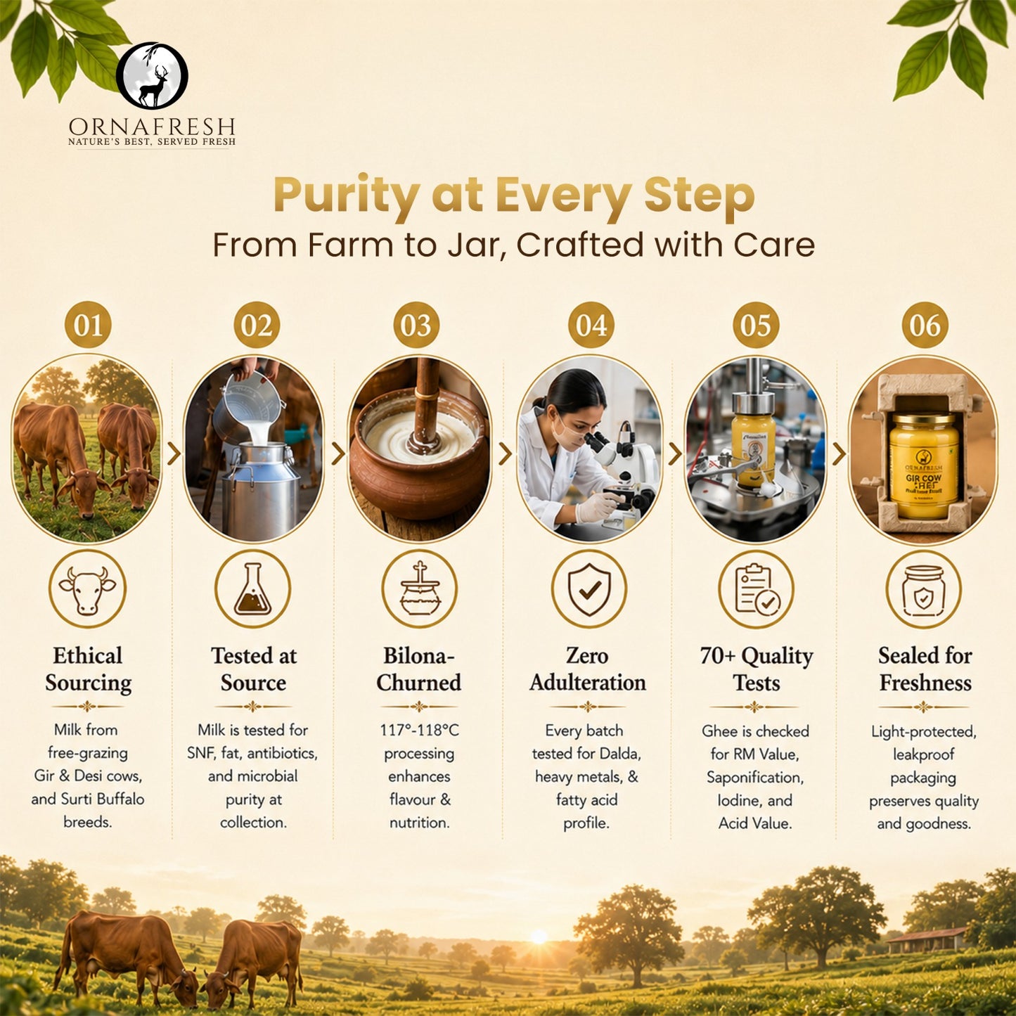 Gir Cow A2 Ghee – From Gujarat